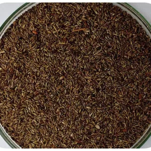 Sementes de Capim Mombaça