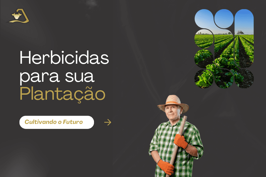 agropecuaria triangulo (900 x 600 px)