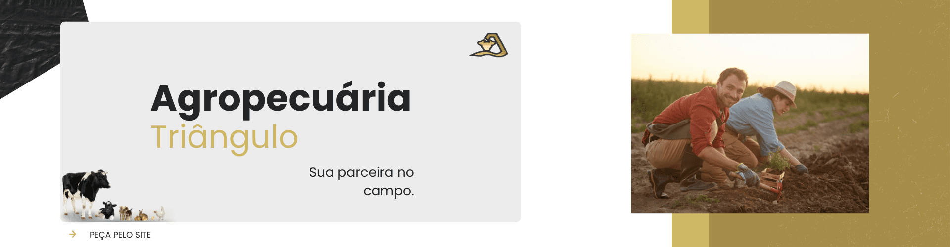 agropecuária triângulo22