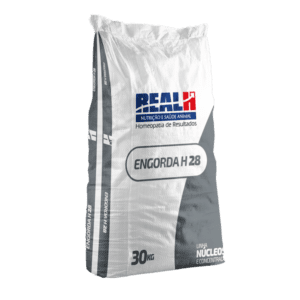 Engorda H 28 - Real H