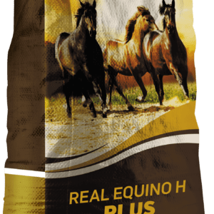 Real Equino H Plus - Real H