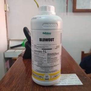 Herbicida Blowout 1L